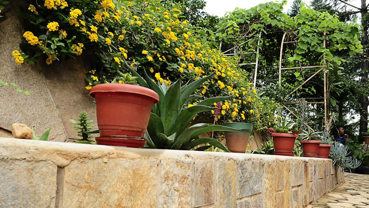 The Shoebill Nest Bed & Breakfast Kampala Exterior foto